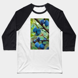 Ripe blue plums in an orchard Baseball T-Shirt
